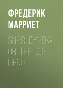 Фредерик Марриет Snarleyyow, or, the Dog Fiend обложка книги