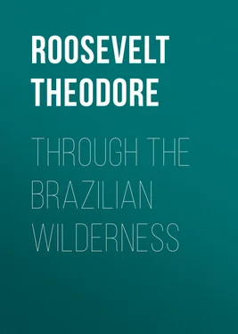 Theodore Roosevelt Through the Brazilian Wilderness обложка книги