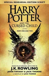 Joanne Rowling - Harry Potter and the Cursed Child