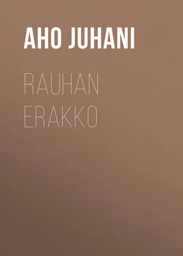 Juhani Aho Rauhan erakko обложка книги