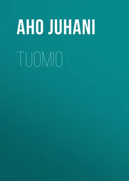 Juhani Aho Tuomio обложка книги