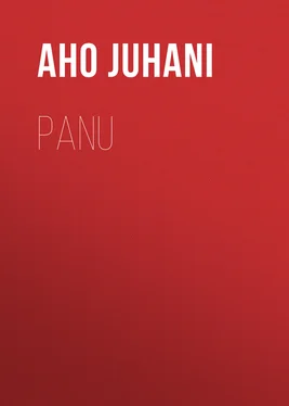 Juhani Aho Panu обложка книги