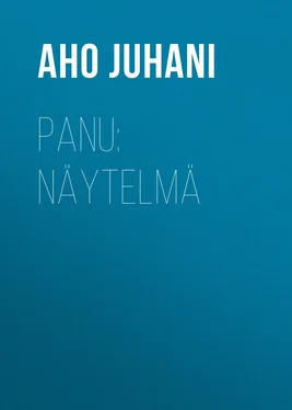 Juhani Aho Panu: Näytelmä обложка книги