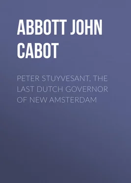 John Abbott Peter Stuyvesant, the Last Dutch Governor of New Amsterdam обложка книги
