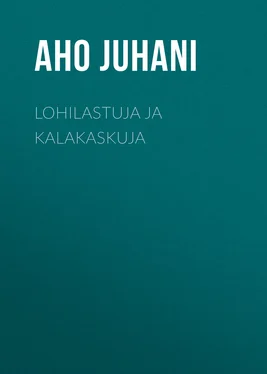 Juhani Aho Lohilastuja ja kalakaskuja обложка книги