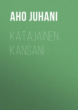 Juhani Aho Katajainen kansani обложка книги