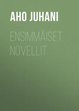 Juhani Aho Ensimmäiset novellit обложка книги