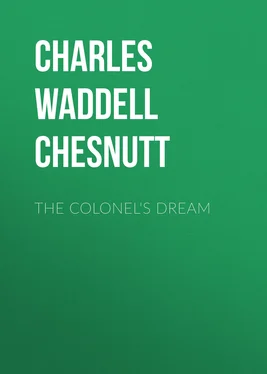 Charles Waddell Chesnutt The Colonel's Dream обложка книги