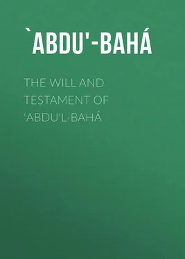 `Abdu'-Bahá The Will And Testament of ‘Abdu'l-Bahá обложка книги