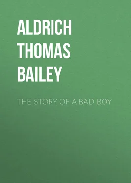 Thomas Aldrich The Story of a Bad Boy обложка книги