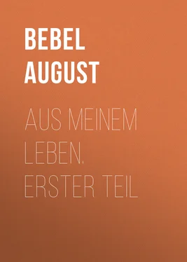 August Bebel Aus meinem Leben. Erster Teil обложка книги