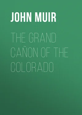 John Muir The Grand Cañon of the Colorado обложка книги