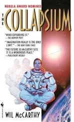 Wil McCarthy - The Collapsium