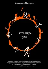 Александр Муниров - Настоящее чудо