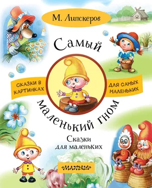 Михаил Липскеров Самый маленький гном. Сказки для маленьких обложка книги