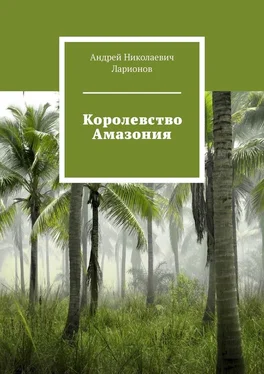 Андрей Ларионов Королевство Амазония обложка книги