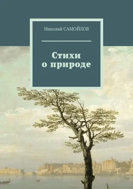 Николай САМОЙЛОВ Стихи о природе обложка книги