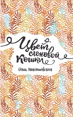 Ольга Миклашевская Цвет слоновой кошки обложка книги