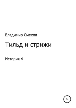 Владимир Смехов Тильд и стрижи. История 4 обложка книги