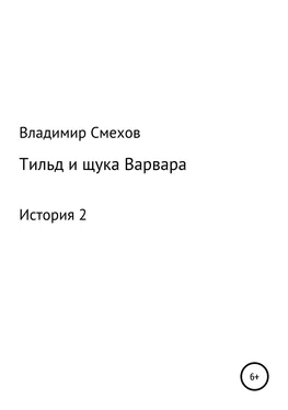 Владимир Смехов Тильд и щука Варвара. История 2 обложка книги