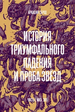 Аркадий Сброд История триумфального падения и проба звезд обложка книги