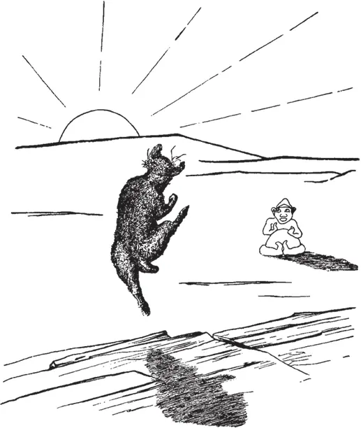 Up jumped Dingo YellowDog Dingo and said What that catrabbit Off ran - фото 11