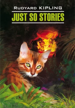 Редьярд Киплинг Just So Stories for Little Children / Просто сказки. Книга для чтения на английском языке обложка книги