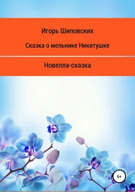 Игорь Шиповских Сказка о мельнике Никитушке обложка книги