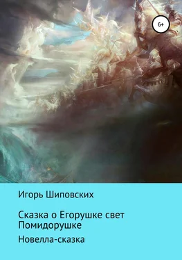 Игорь Шиповских Сказка о Егорушке свет Помидорушке обложка книги