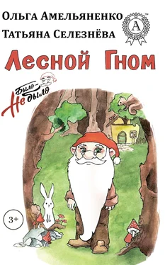 Татьяна Селезнева Лесной гном обложка книги