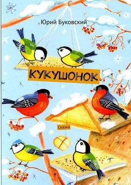 Юрий Буковский Кукушонок. Сказка обложка книги