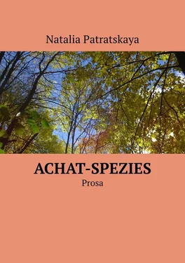 Natalia Patratskaya Achat-Spezies. Prosa обложка книги