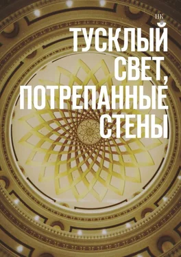 НК Тусклый свет, потрепанные стены обложка книги