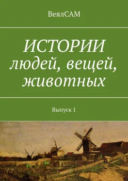 ВеялСАМ Истории людей, вещей, животных. Выпуск 1 обложка книги