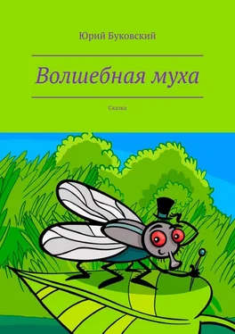 Юрий Буковский Волшебная муха. Сказка обложка книги