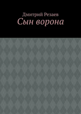 Дмитрий Резаев Сын ворона обложка книги