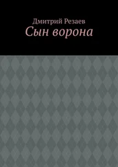 Дмитрий Резаев - Сын ворона