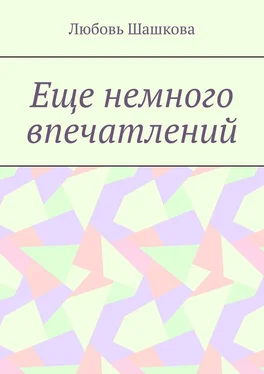 Любовь Шашкова Еще немного впечатлений обложка книги