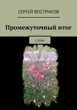 Сергей Востриков Промежуточный итог. Стихи обложка книги