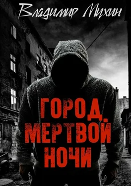 Владимир Мухин Город мертвой ночи обложка книги