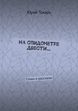 Юрий Токарь На спидометре двести… Стихи и рассказы обложка книги