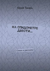 Юрий Токарь - На спидометре двести… Стихи и рассказы