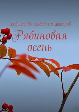 Тамара Сальникова Рябиновая осень обложка книги