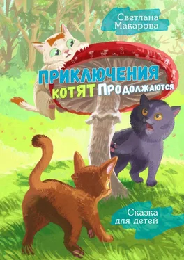 Светлана Макарова Приключения котят продолжаются. Сказка для детей обложка книги