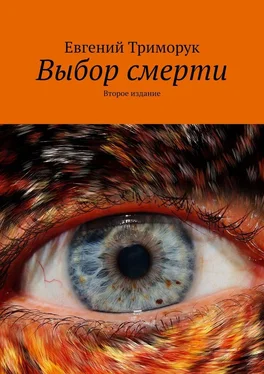 Евгений Триморук Выбор смерти. Второе издание обложка книги