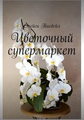 Стейси Тисдейл - Цветочный супермаркет