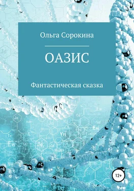 Ольга Сорокина Оазис обложка книги