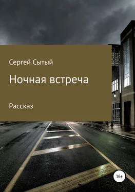Сергей Сытый Ночная встреча обложка книги