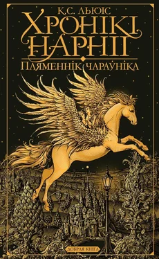 Клайв Стэйплз Льюіс Пляменнік чараўніка обложка книги