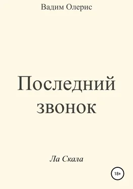 Вадим Олерис Последний звонок обложка книги